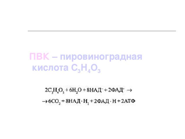 ПВК – пировиноградная кислота С3Н4О3
